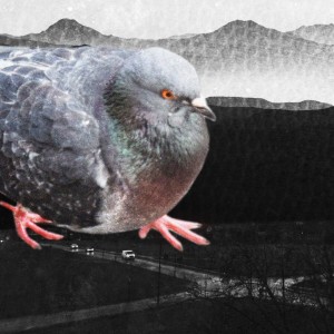 收听Dat Brass的Pidgin (Remix)歌词歌曲