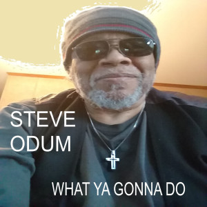Steve Odum的专辑What Ya Gonna Do