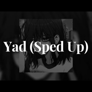 Listen to yad (Sped Up) song with lyrics from Narresh Narrayan