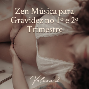Listen to Reduzindo a Ansiedade song with lyrics from Tempo de Música Oriental