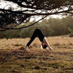ดาวน์โหลดและฟังเพลง Meditation พร้อมเนื้อเพลงจาก Mano Manx