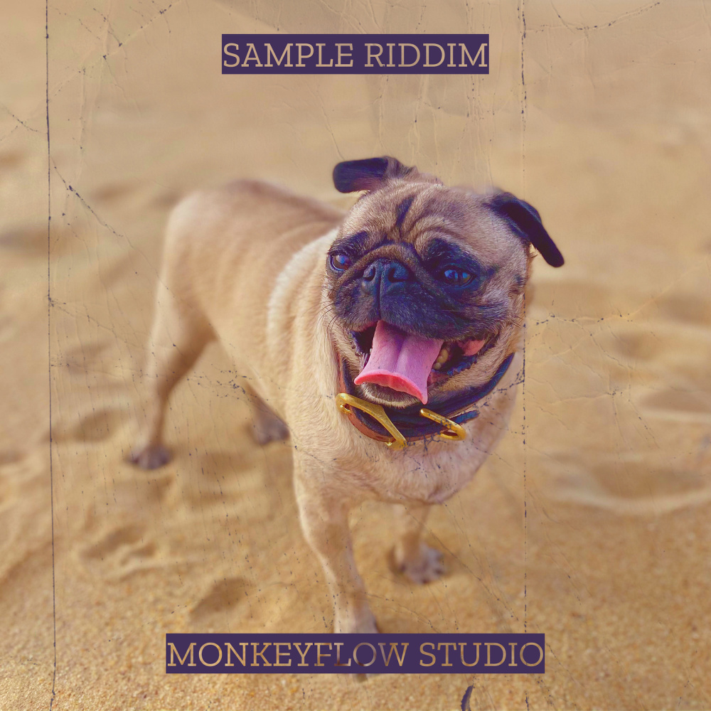 Sample Riddim