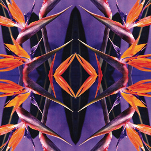 Mortis的專輯Kaleidoscope (Change Things)
