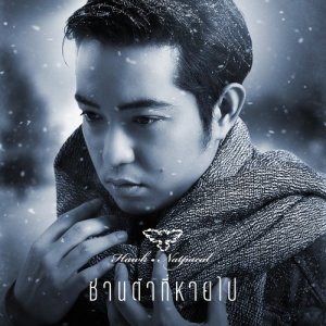 ดาวน์โหลดและฟังเพลง ซานต้าที่หายไป พร้อมเนื้อเพลงจาก ฮอค ณัฐปคัลภ์