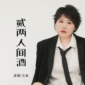 Album 贰两人间酒 from 方辰