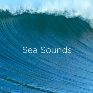 Listen to Music For Deep Sleep song with lyrics from Relajacion Del Mar