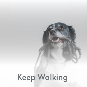 Listen to Keep Walking song with lyrics from Vern Godown