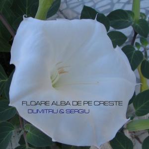 Dengarkan lagu Floare Alba De Pe Creste nyanyian Dumitru dengan lirik