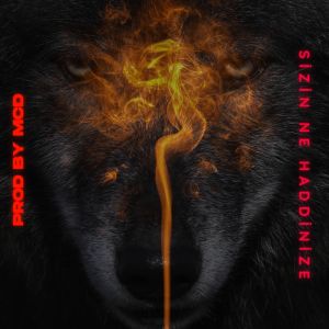 Dengarkan Sizin Ne Haddinize lagu dari Prod. By_MCD dengan lirik