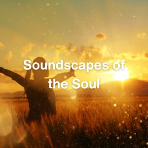 อัลบัม Soundscapes of the Soul ศิลปิน Hypnotic Noise