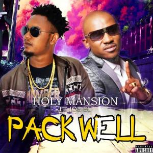 Album Pack Well from Holy Mansion
