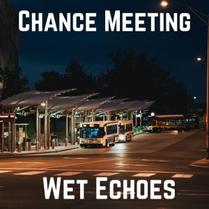 ดาวน์โหลดและฟังเพลง Chance Meeting พร้อมเนื้อเพลงจาก Wet Echoes