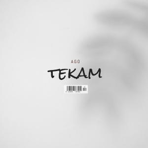 ดาวน์โหลดและฟังเพลง Ago tekam (feat. Chuster BK, Big Bole & Cari Birmen) พร้อมเนื้อเพลงจาก Ela Nguema Ganster