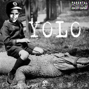 收聽NAB FAKE的YOLO (Explicit)歌詞歌曲