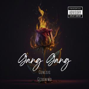Album Gang Gang from Genesis Geronimo