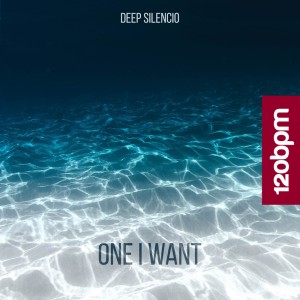 Listen to One I Want song with lyrics from Deep Silencio