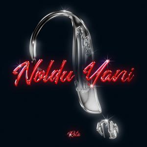 Reta的專輯Noldu Yani