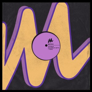 Listen to Satisfy (Sebb Junior Remix) song with lyrics from Tom Bug