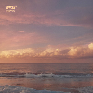 Listen to Asthetic song with lyrics from Whisky