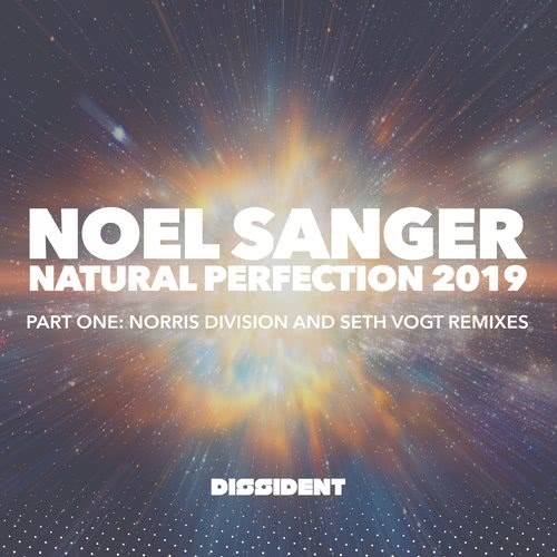 Natural Perfection (Seth Vogt Remix)