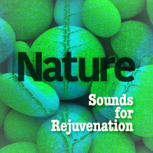 ดาวน์โหลดและฟังเพลง Rhythm of the Water พร้อมเนื้อเพลงจาก Deep Sleep Nature Sounds