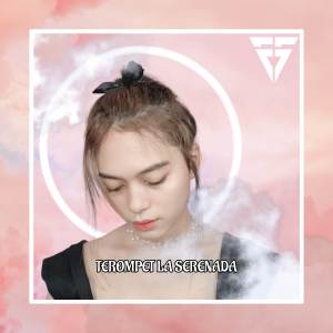 Album DJ TEROMPET UNA oleh Kalsel FYS
