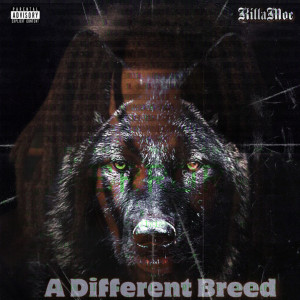 Listen to Smd (Explicit) song with lyrics from KillaMoe