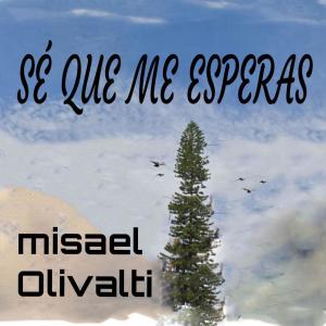 Misael Olivalti的專輯Sé que me Esperas