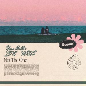 Yann Muller的專輯Not The One