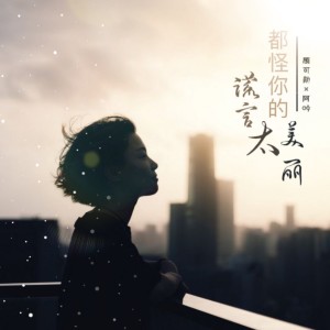 Album 都怪你的谎言太美丽 from 顾可勋