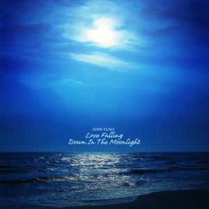 Album Love Falling Down In The Moonlight from Yuna Shin