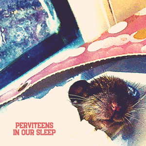 Listen to Suzi (Explicit) song with lyrics from Perviteens