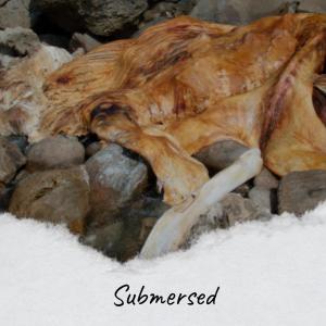 Listen to Barbarous song with lyrics from Mahad Shaz