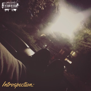 Album Introspection (Explicit) from Marc Paradise