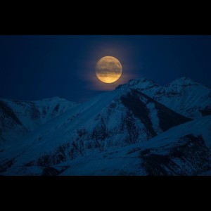 Album Buddhist Path | Mind Calming Exercises  oleh Relaxation Sleep Meditation