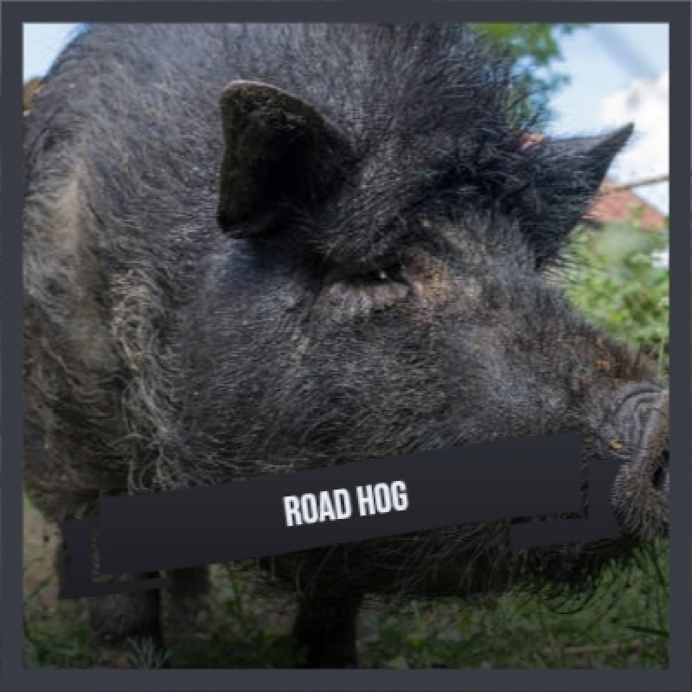 Road Hog