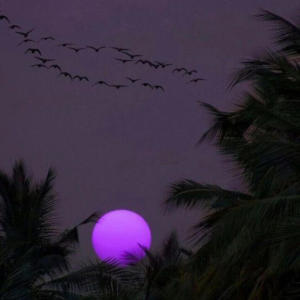 default playlist img