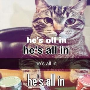 อัลบัม he's all in ศิลปิน Joey White