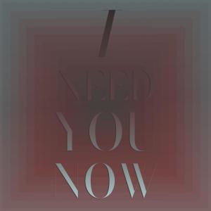 อัลบัม I Need You Now ศิลปิน Silvia Natiello-Spiller