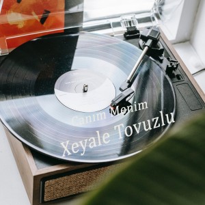 Listen to Canım Menim song with lyrics from Xeyale Tovuzlu