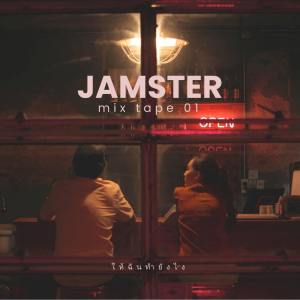 Miiw Jydaa的专辑JAMSTER MIXTAPE 01 - ให้ฉันทํายังไง