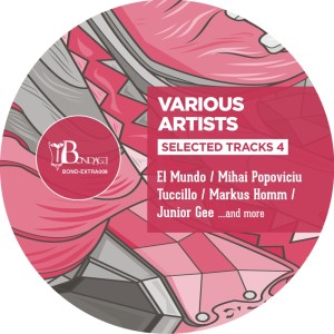 Various Artists的專輯Selected Tracks 4