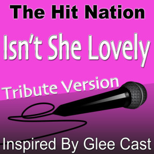 ดาวน์โหลดและฟังเพลง Isn't She Lovely? (Glee Cast Tribute Version) พร้อมเนื้อเพลงจาก The Hit Nation