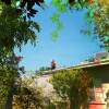 default album img