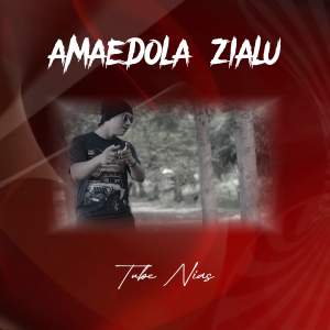 Album AMAEDOLA ZIALU from Tube Nias