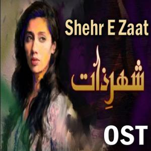 ดาวน์โหลดและฟังเพลง Yaar Ko Hamne Ja Baja Dekha (From "Shehr E Zaat") พร้อมเนื้อเพลงจาก Abida Parveen