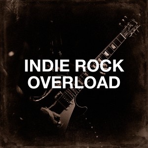 Various Artists的專輯Indie Rock Overload