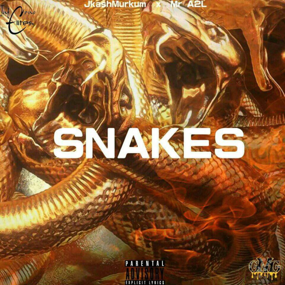 SNAKES (Explicit)