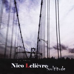 ดาวน์โหลดและฟังเพลง Millionnaire พร้อมเนื้อเพลงจาก Nico LeLièvre