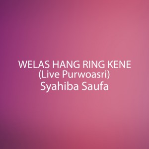 收聽Syahiba Saufa的Welas Hang Ring Kene (Live Purwoasri)歌詞歌曲